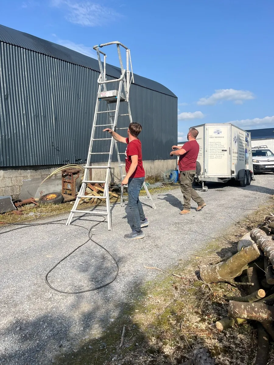 Cleaning and painting on farm, Sheds - Image 2