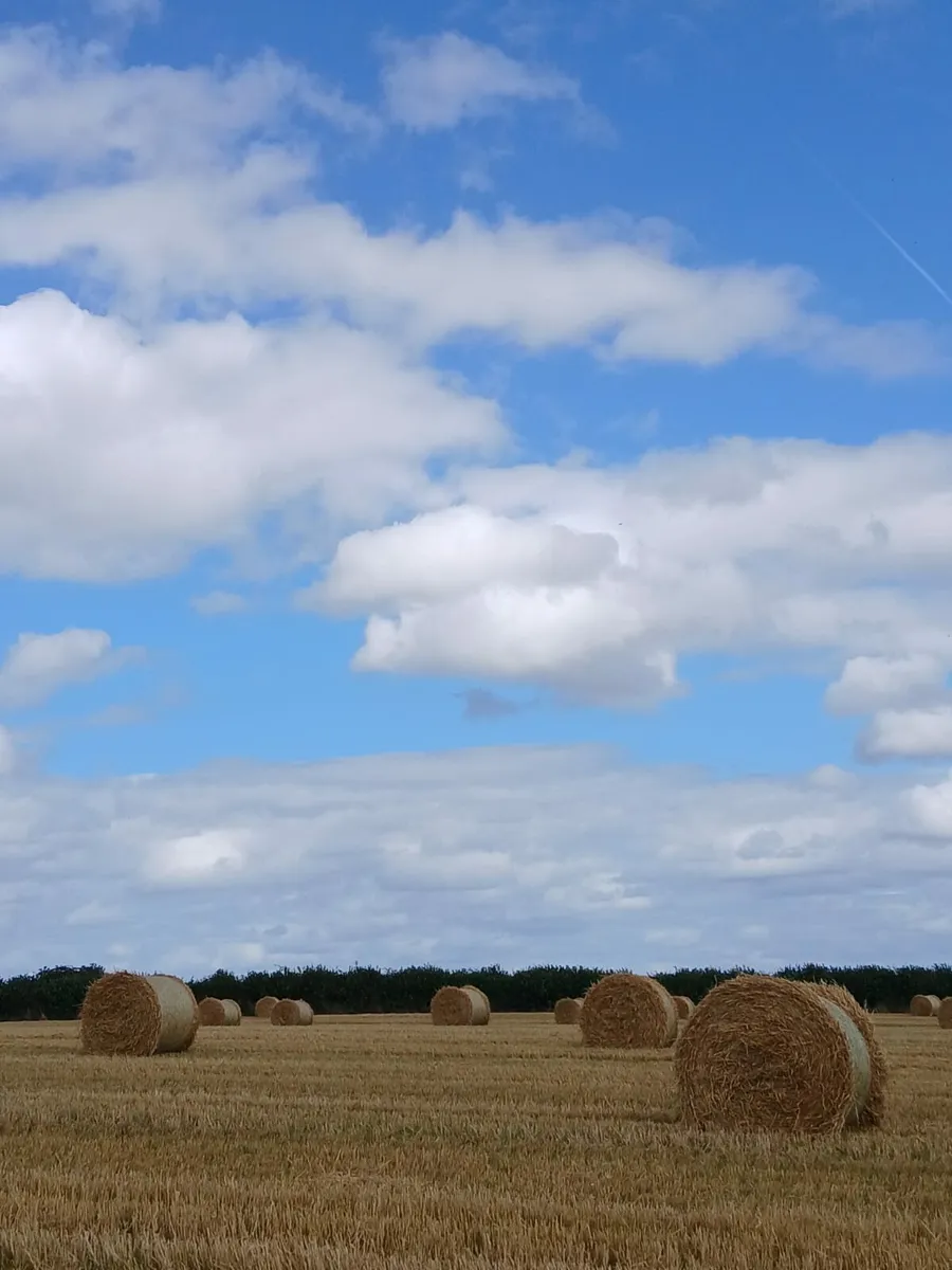 Straw 4x4 - Image 1