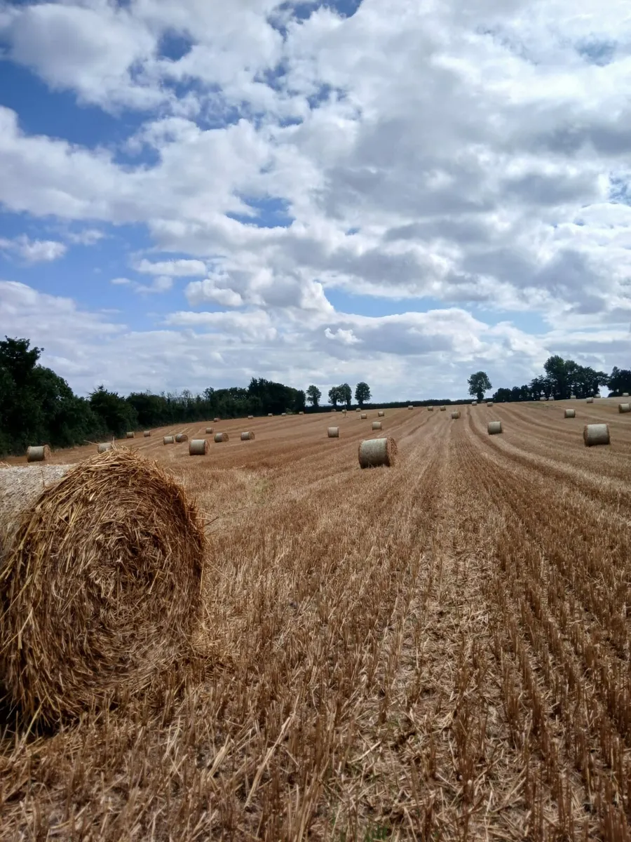 Straw 4x4 - Image 3