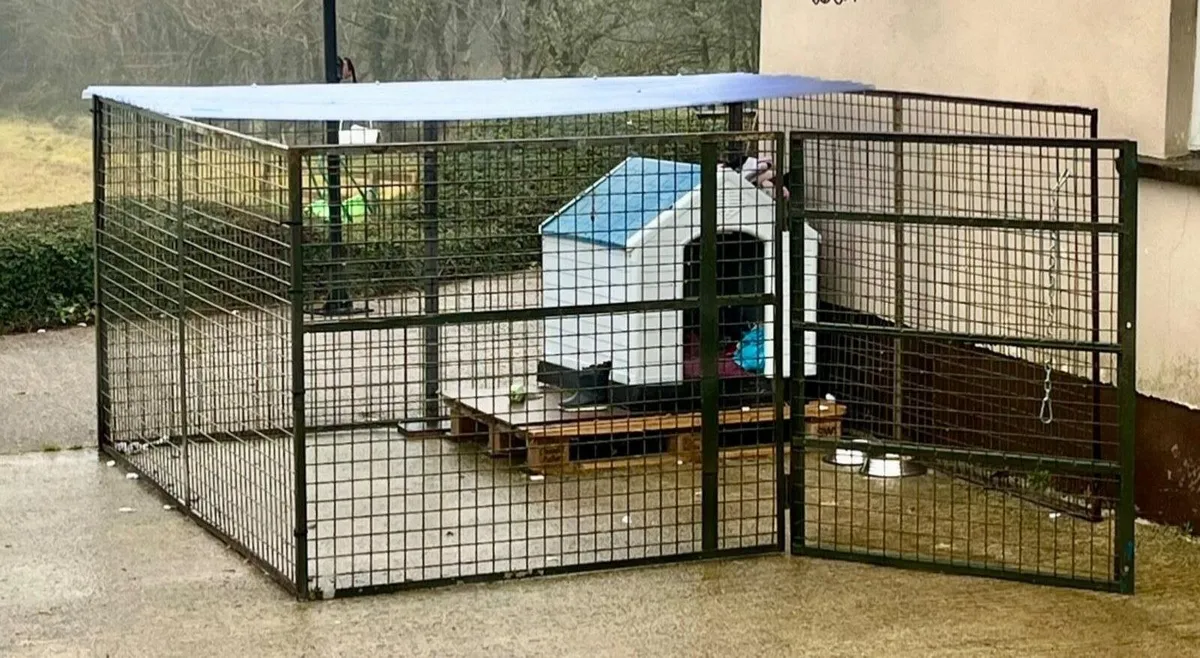Dog run - Image 3
