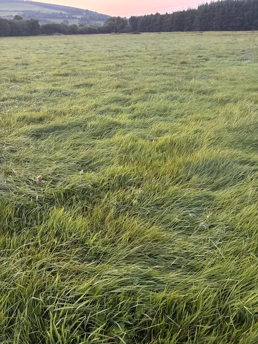 Silage ground - Image 1