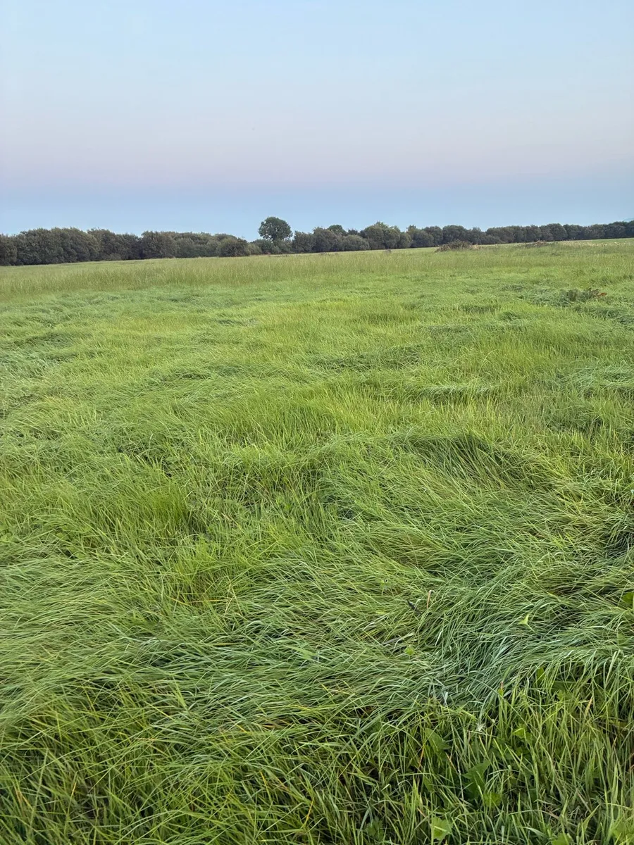 Silage ground - Image 4