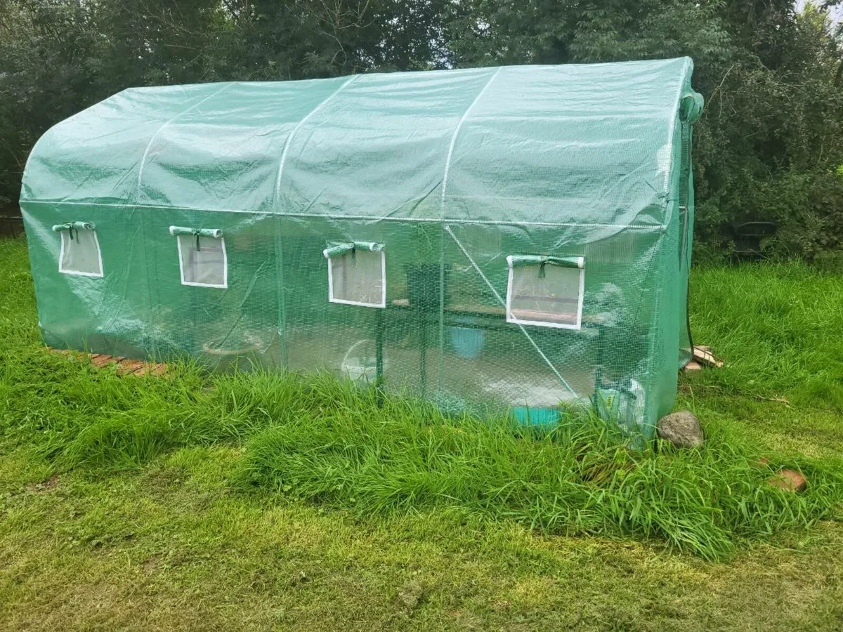 Polytunnel - Image 1