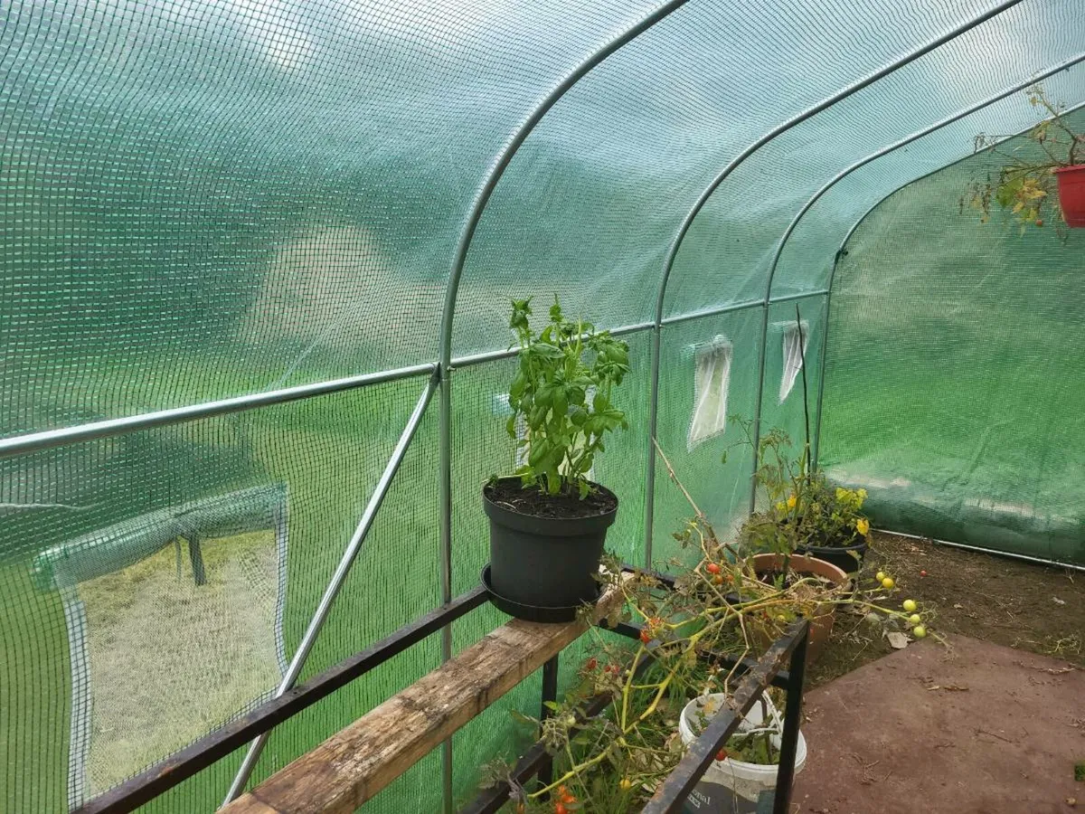 Polytunnel - Image 2