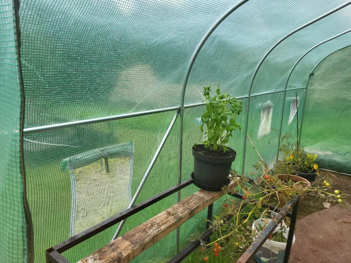 Polytunnel - Image 3