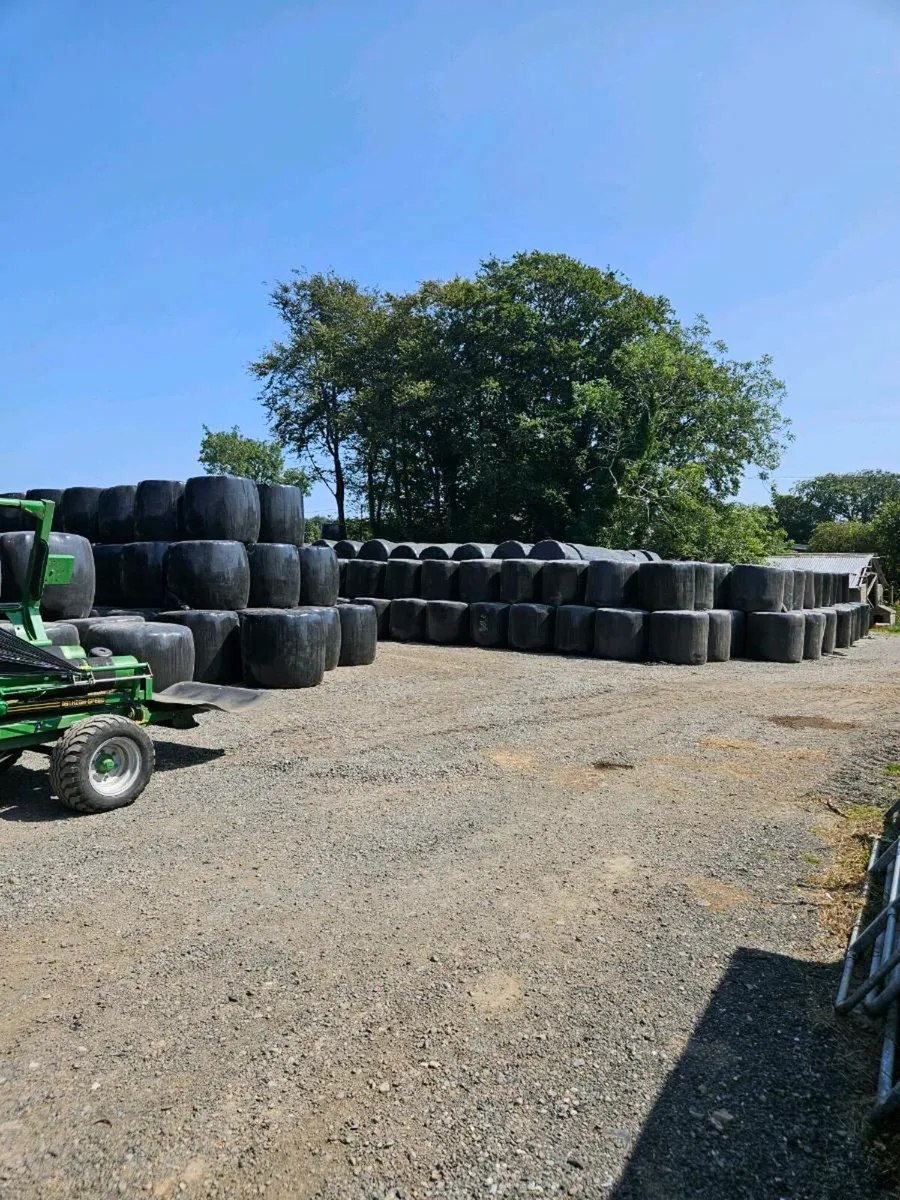 Haylage - Image 2