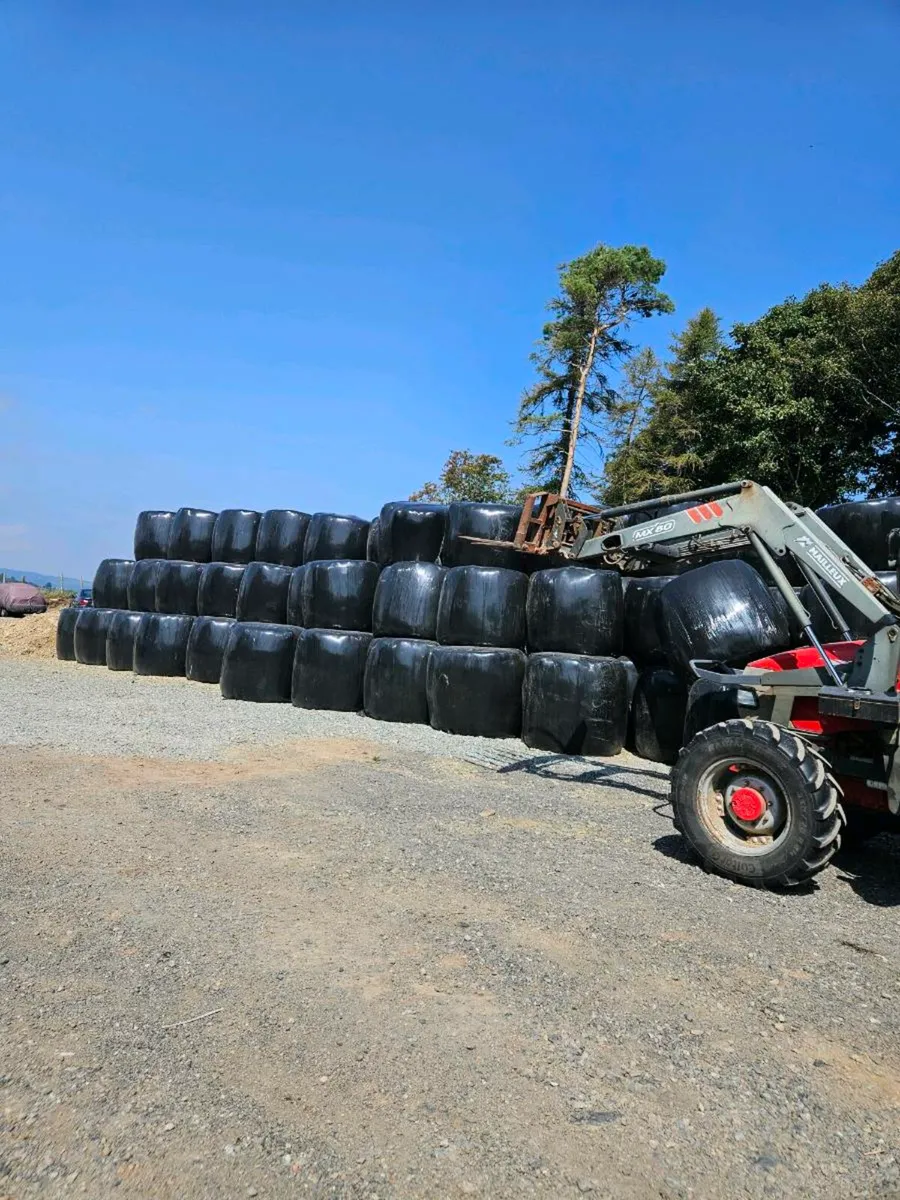 Haylage - Image 3