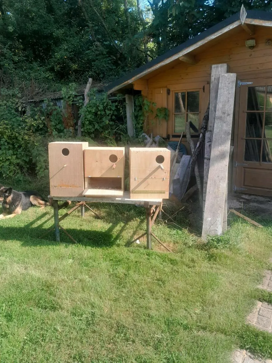 Nestboxes - Image 1