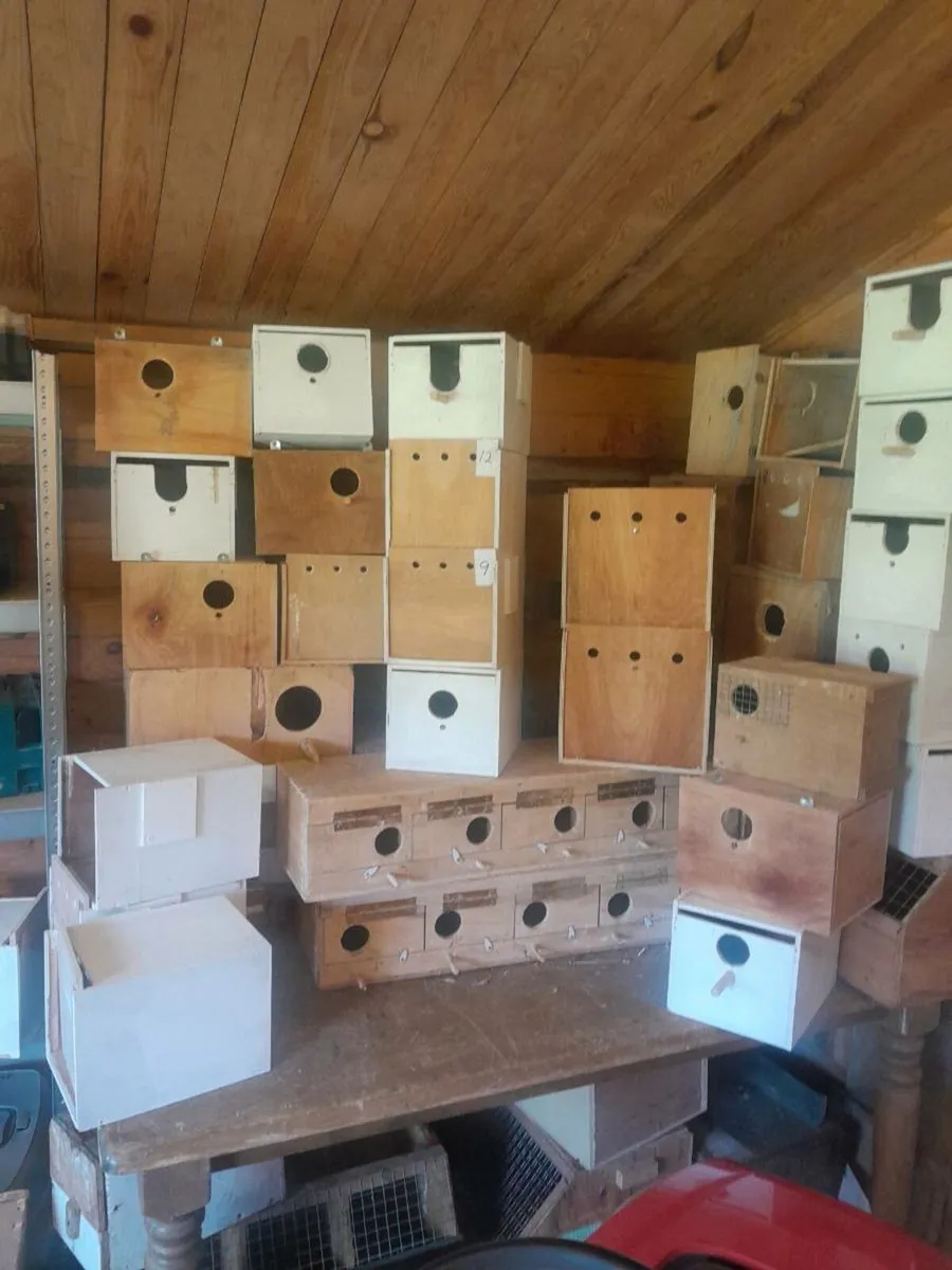 Nestboxes - Image 2