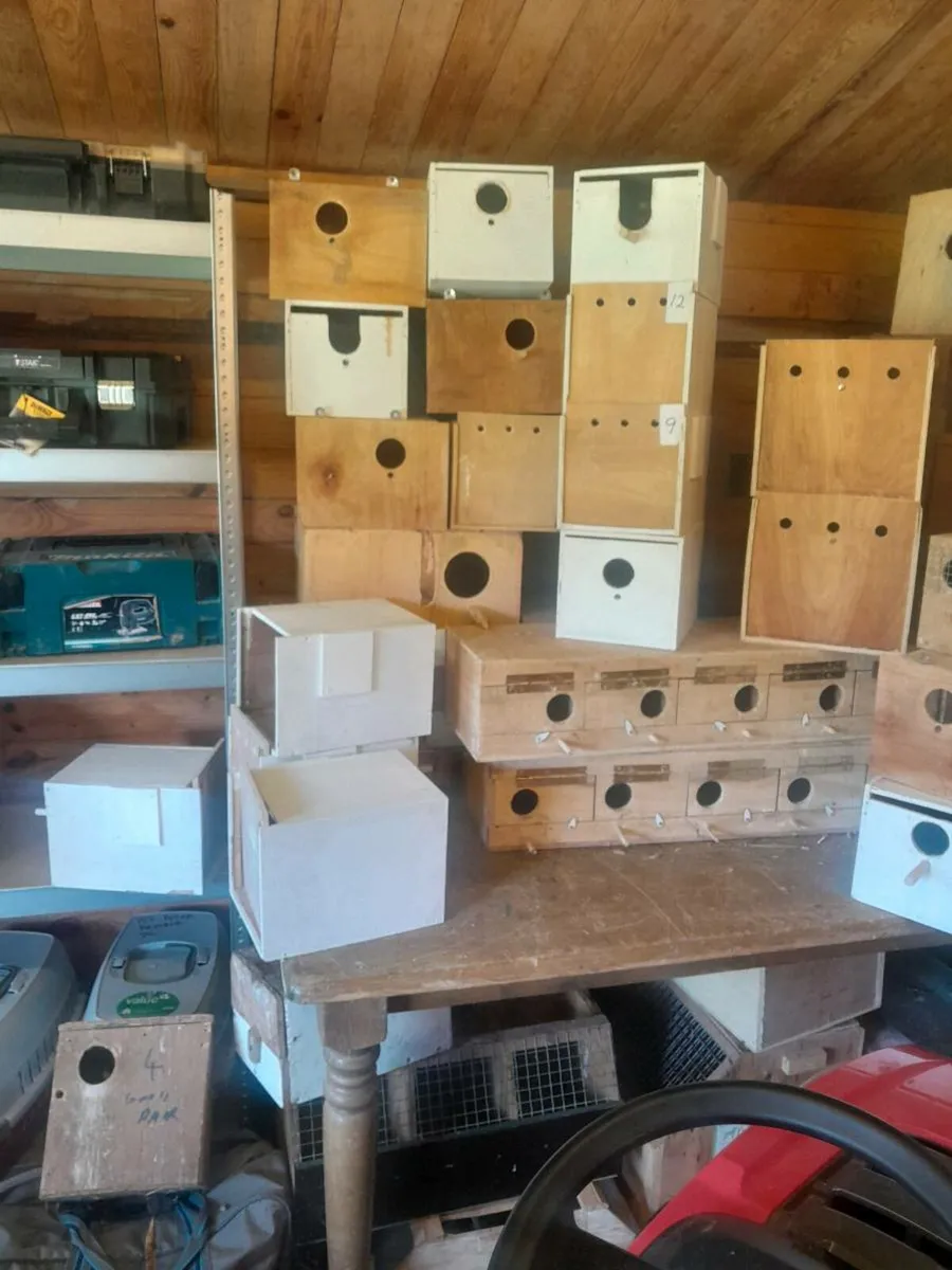 Nestboxes - Image 3