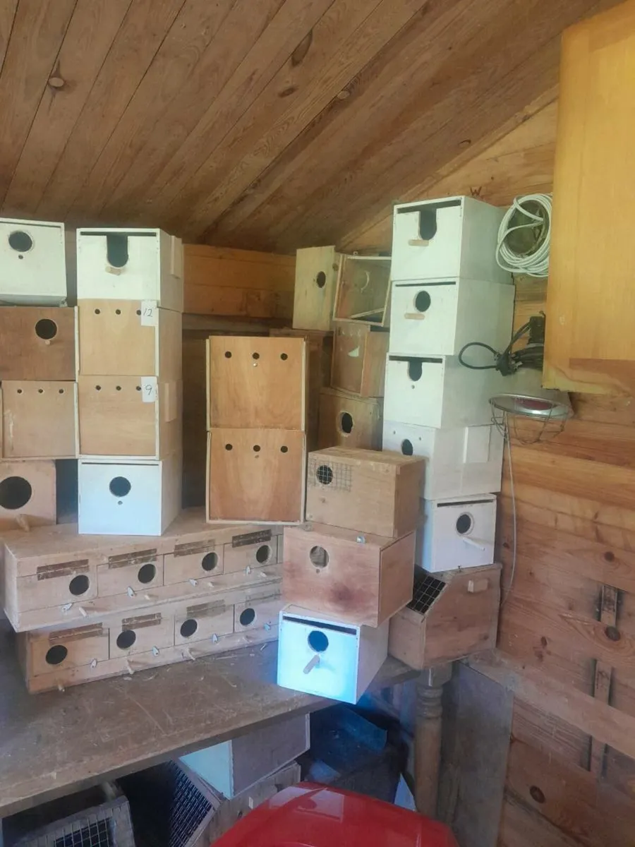 Nestboxes - Image 4
