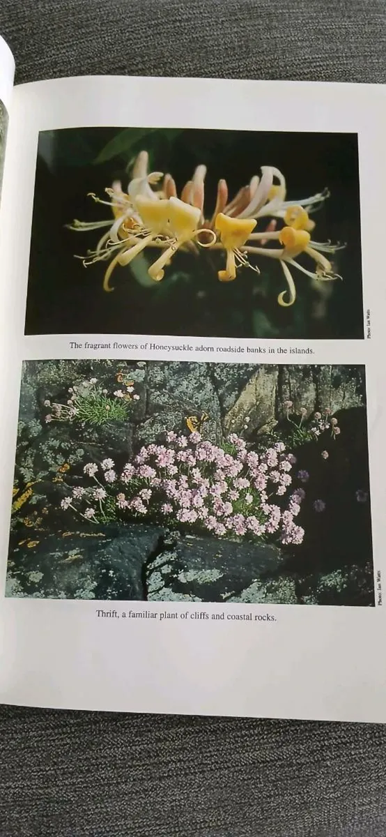 The Wild Plants of Sherkin Cape Clear and Adjacent - Image 4