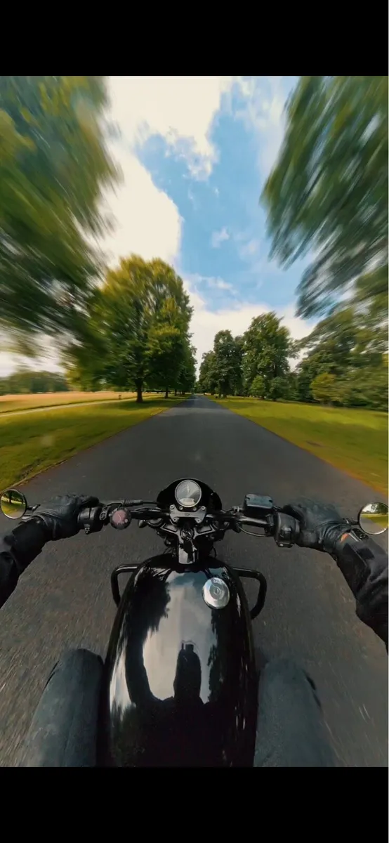 2018 Harley Davidson Street Rod 750 - Image 3