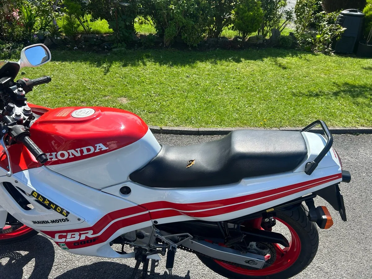 Honda cbr600 - Image 2