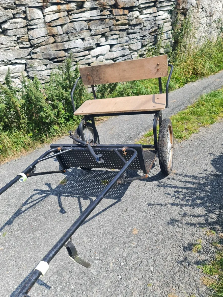 Pony cart - Image 2