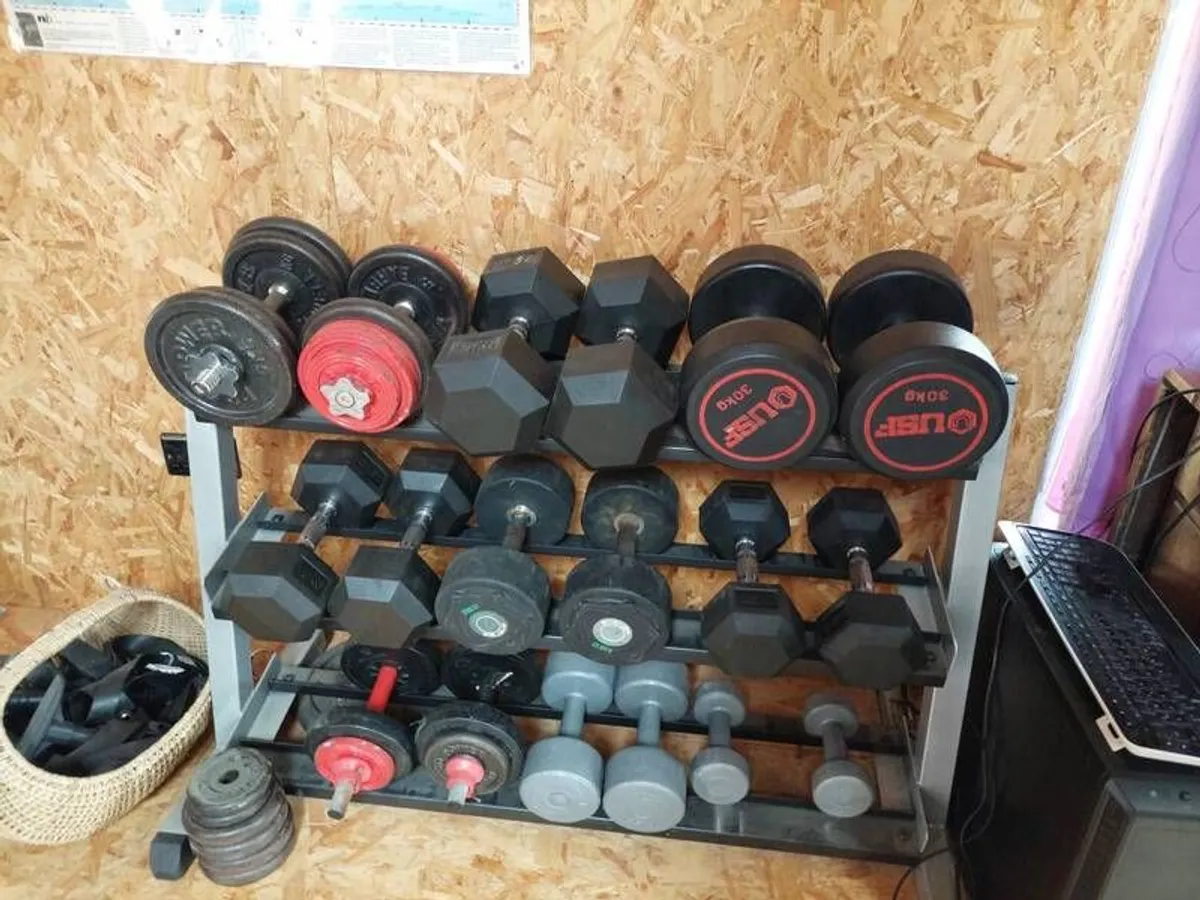 Gym - Image 2