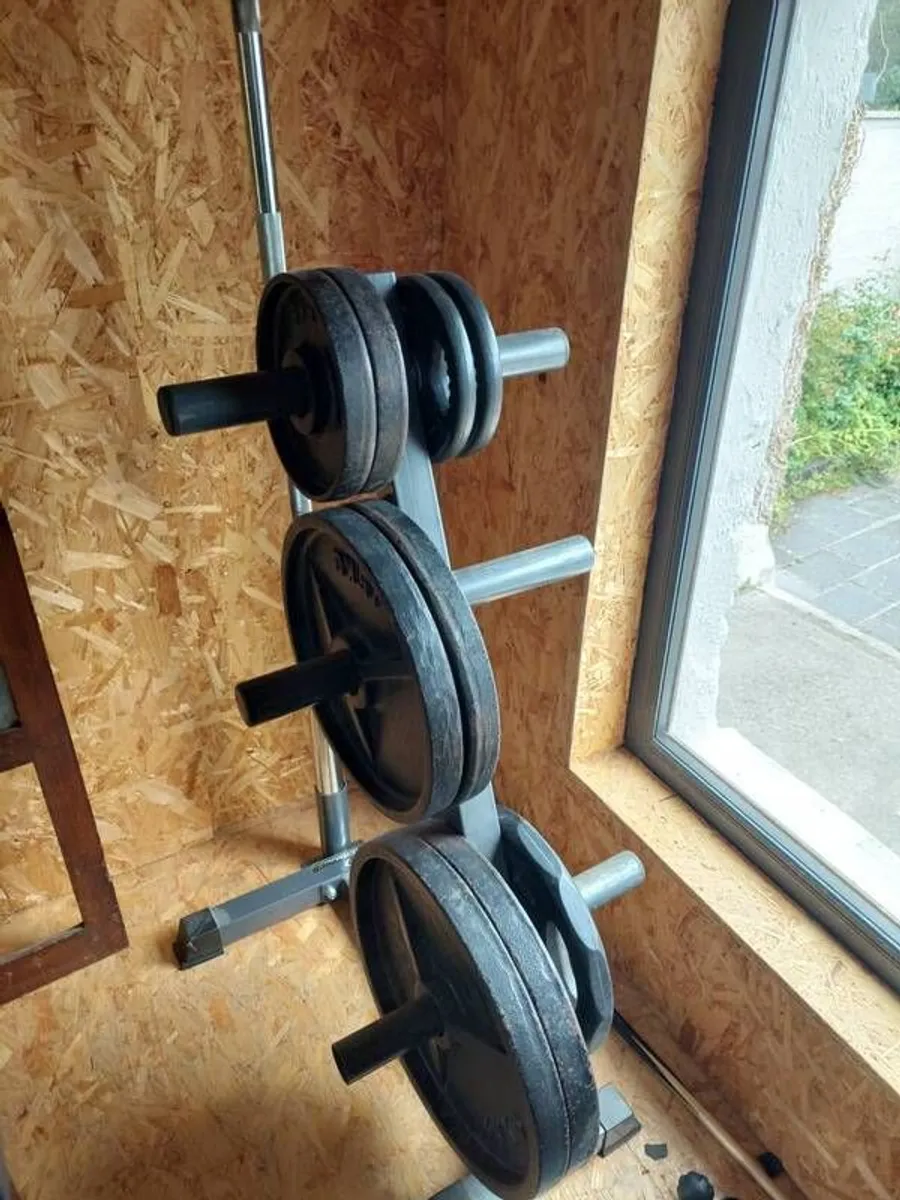 Gym - Image 3