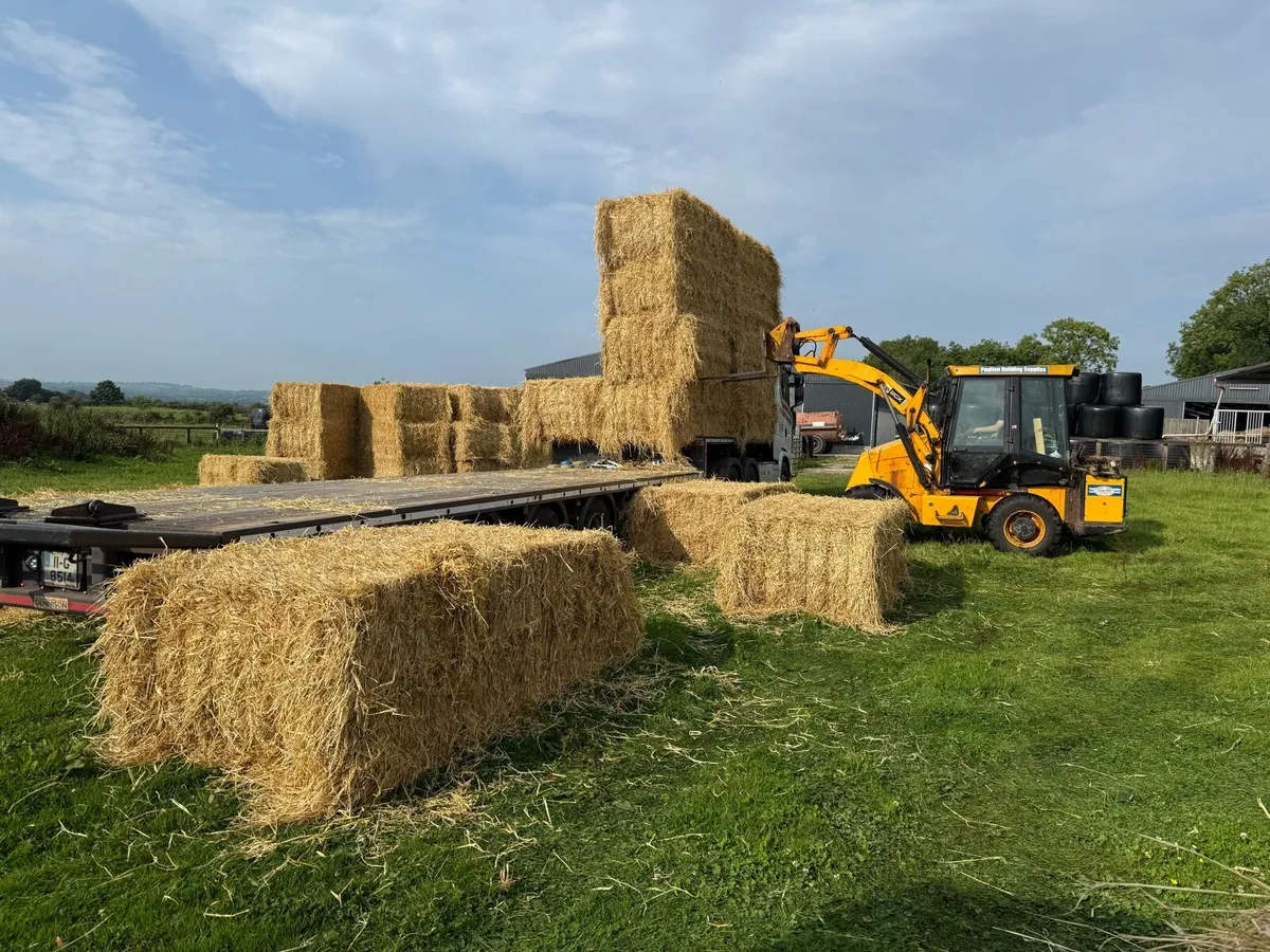 Barley straw half load to spare ballaghaderreen - Image 1