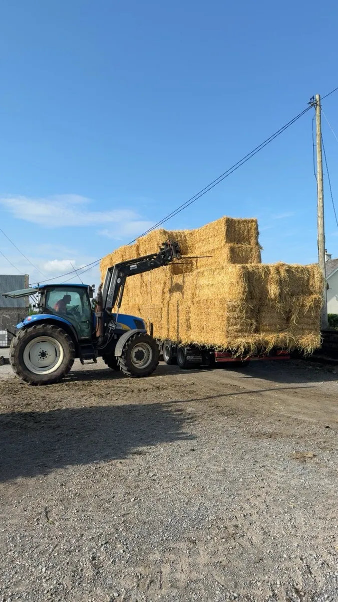 Barley straw half load to spare ballaghaderreen - Image 2