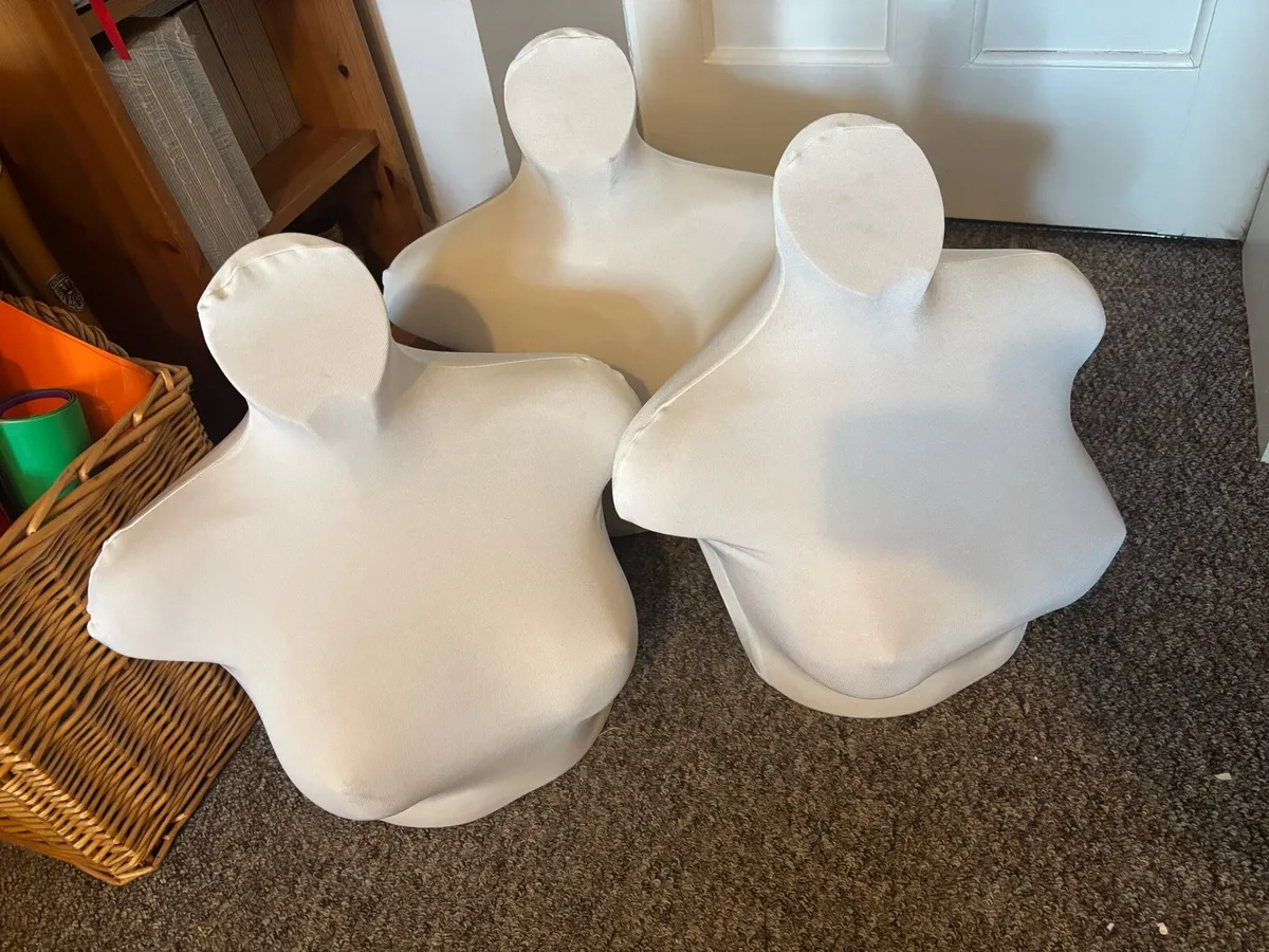 3 Display Mannequin Busts