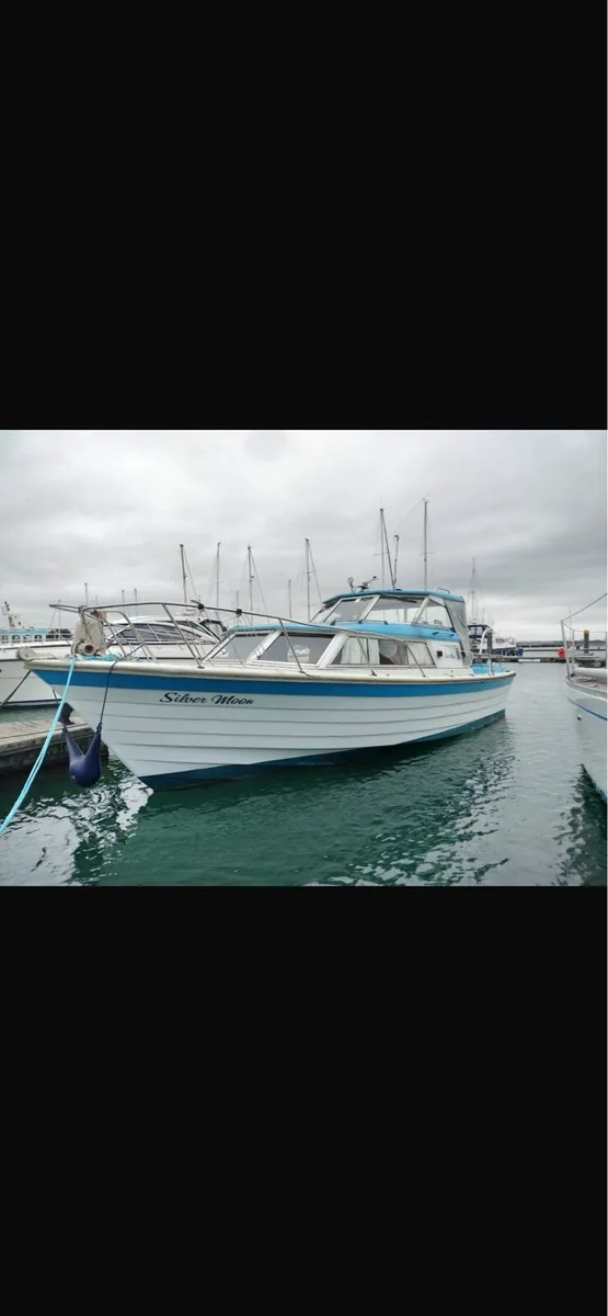 Excellent condition Fjord for sale - Image 1