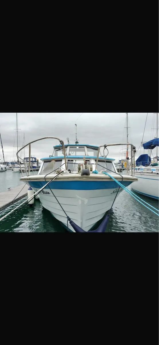 Excellent condition Fjord for sale - Image 2