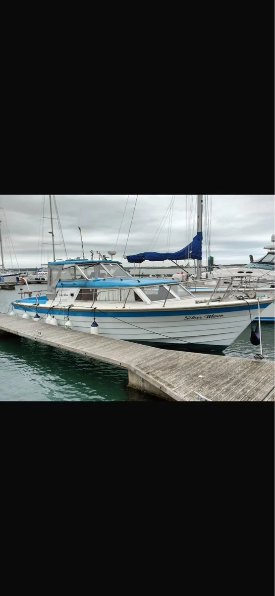 Excellent condition Fjord for sale - Image 3