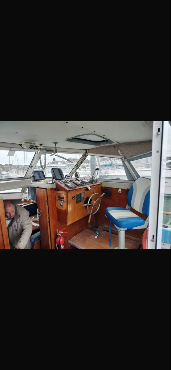 Excellent condition Fjord for sale - Image 4