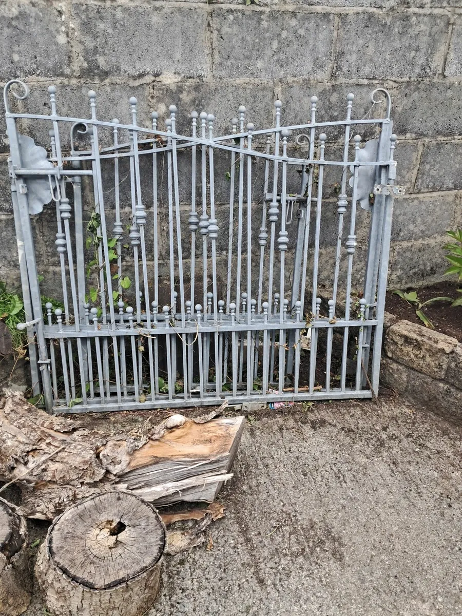 Double gates - Image 1