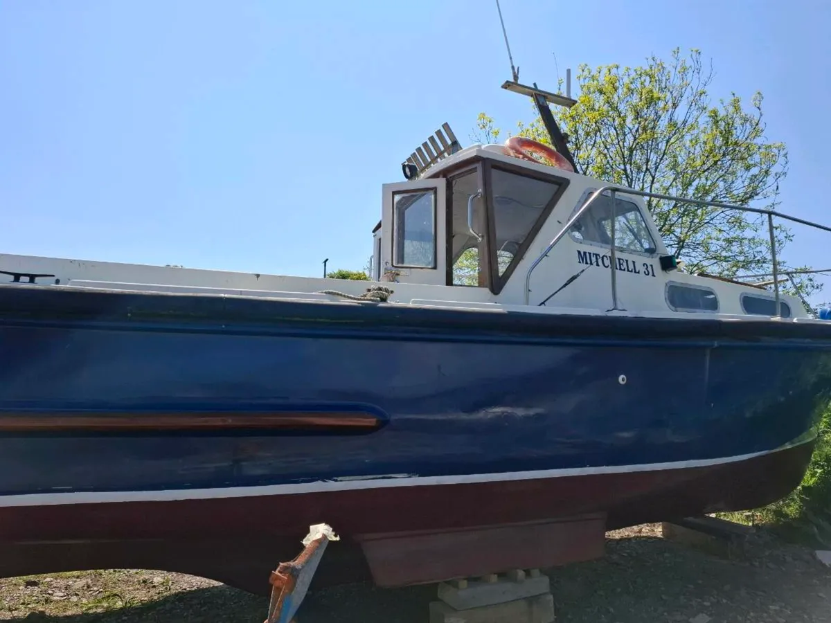 Mitchel 31 For Sale - Image 1