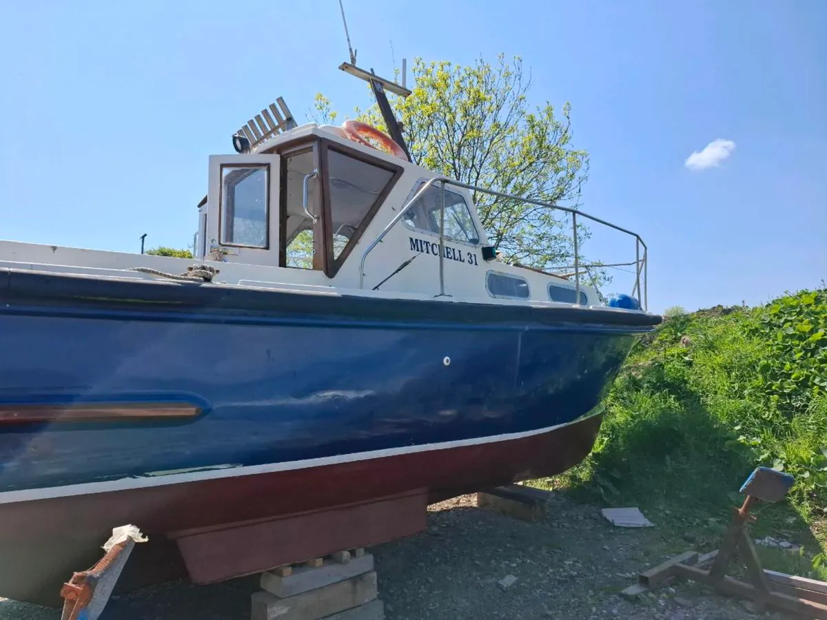 Mitchel 31 For Sale - Image 2