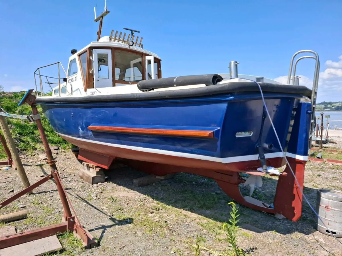Mitchel 31 For Sale - Image 4