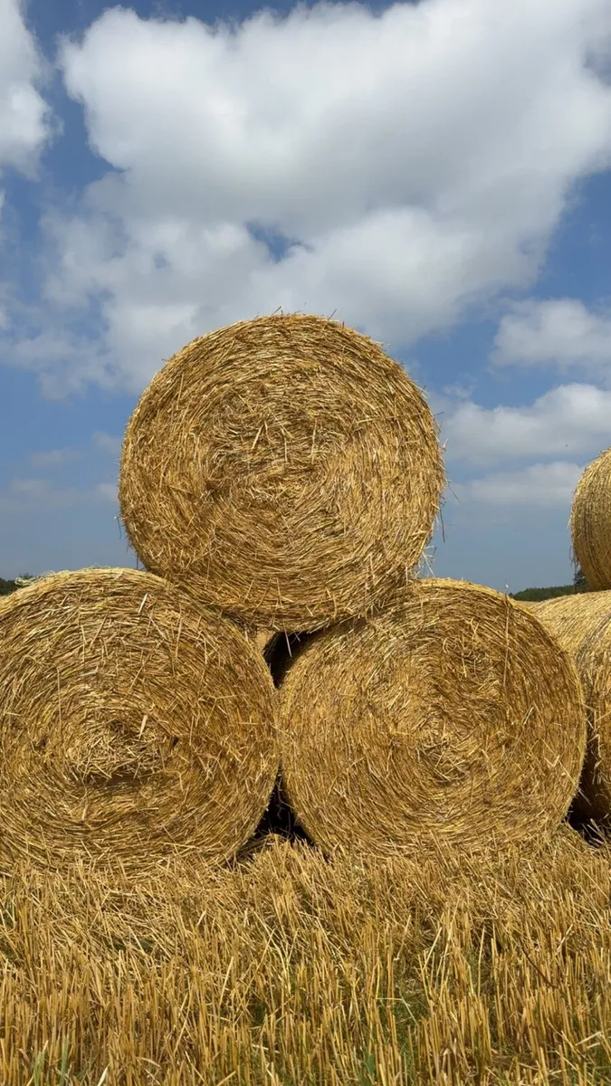 🌾🌾 straw all types 🌾🌾 - Image 2