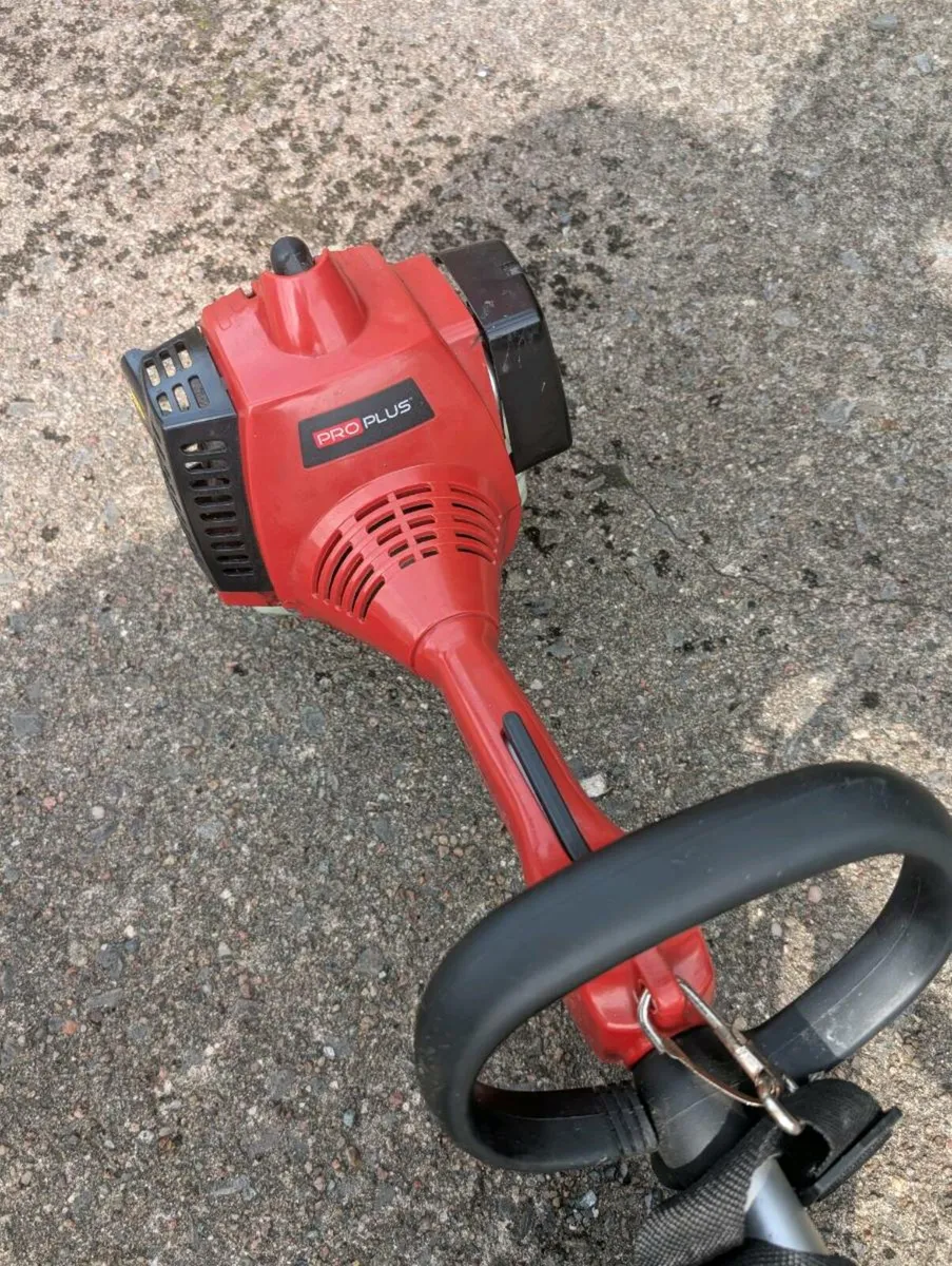 Strimmer - Image 2