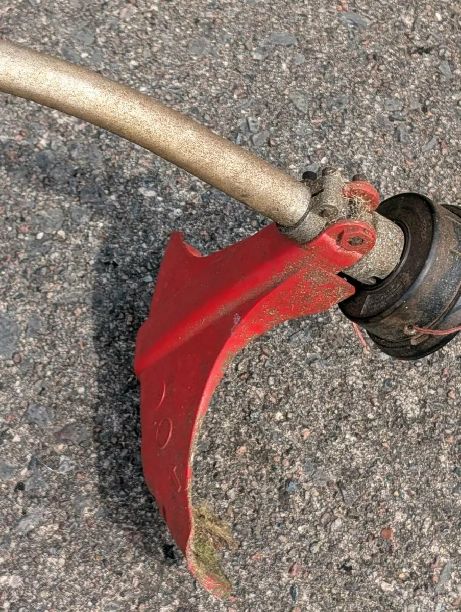 Strimmer - Image 4