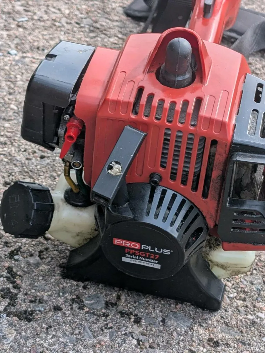 Strimmer - Image 1