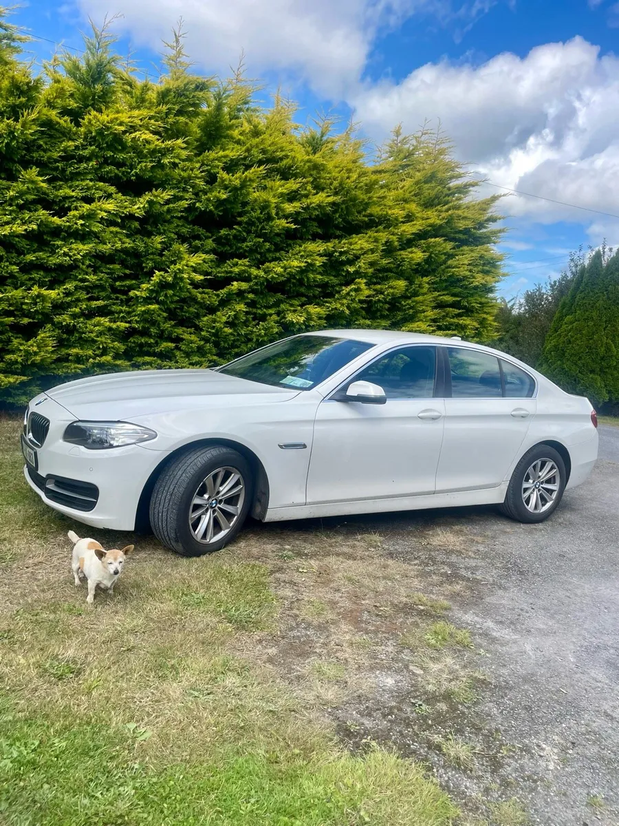 2014 BMW 518d - Image 2