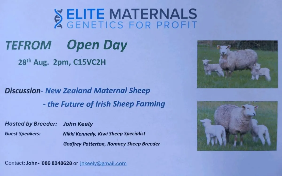 Tefrom Open Day 28th Aug - Image 1