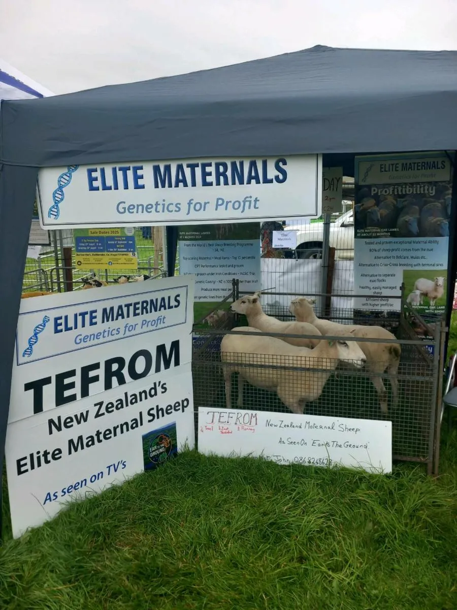Tefrom Open Day 28th Aug - Image 2