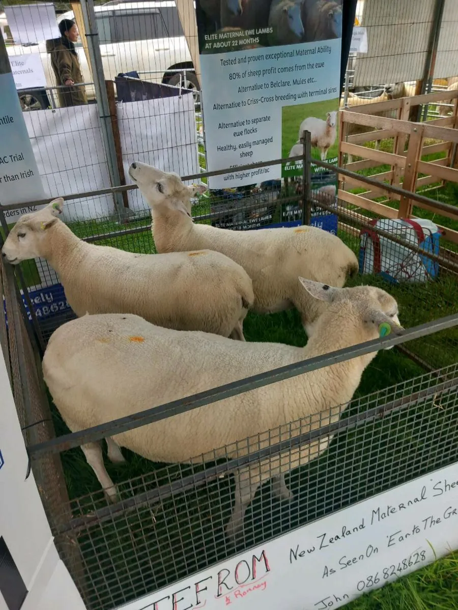 Tefrom Open Day 28th Aug - Image 3