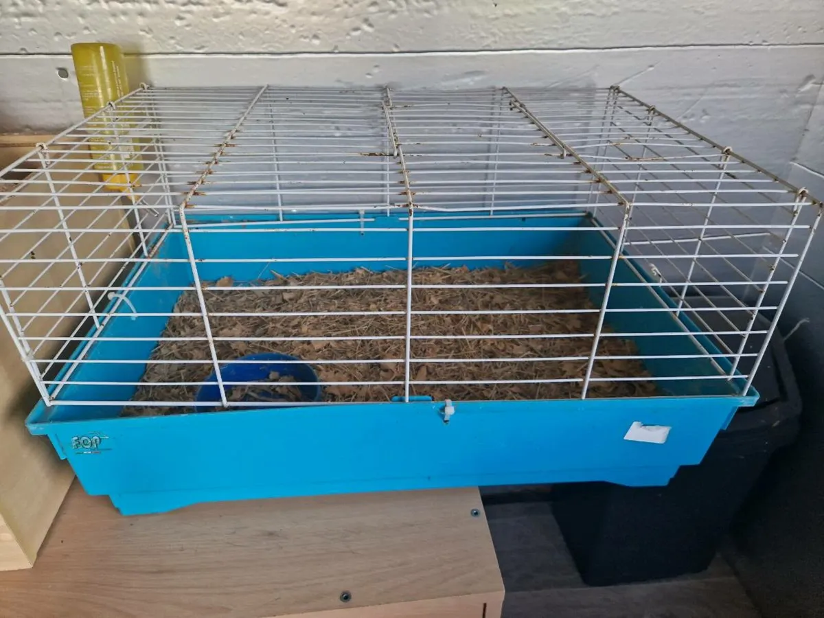 Small animal cages - Image 1
