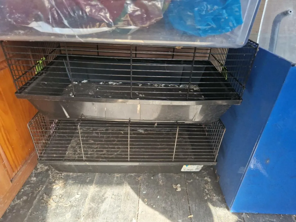 Small animal cages - Image 2