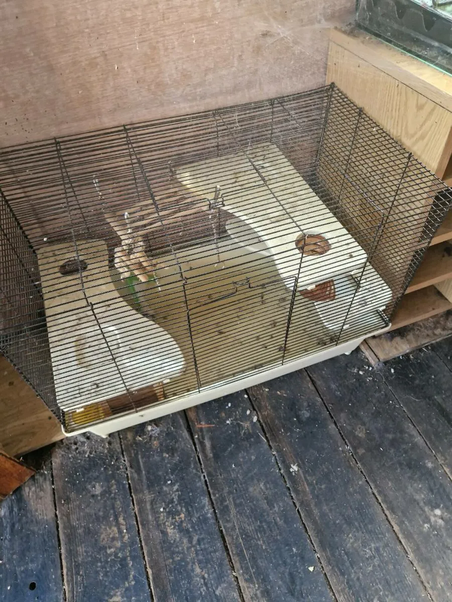 Small animal cages - Image 3