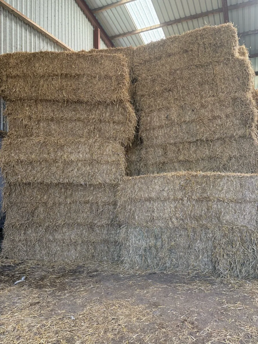 Wheat straw, can be delivered - Image 1