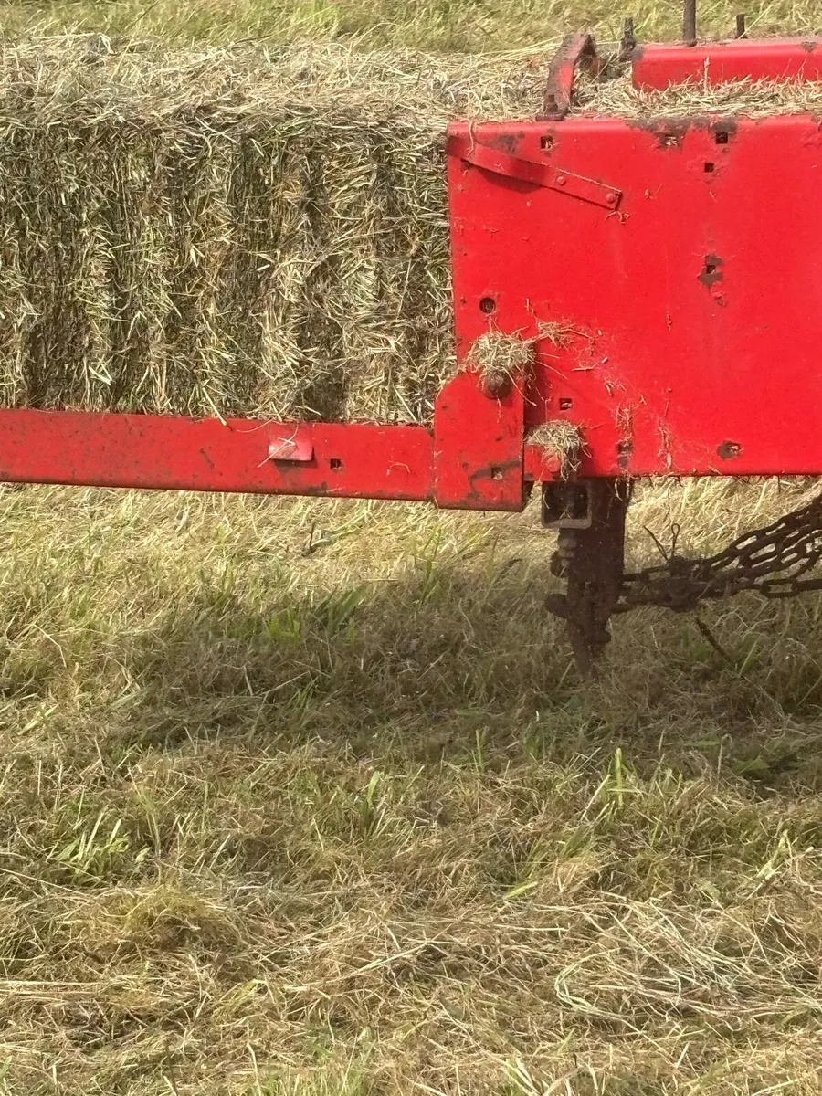 Square bales of hay - Image 3