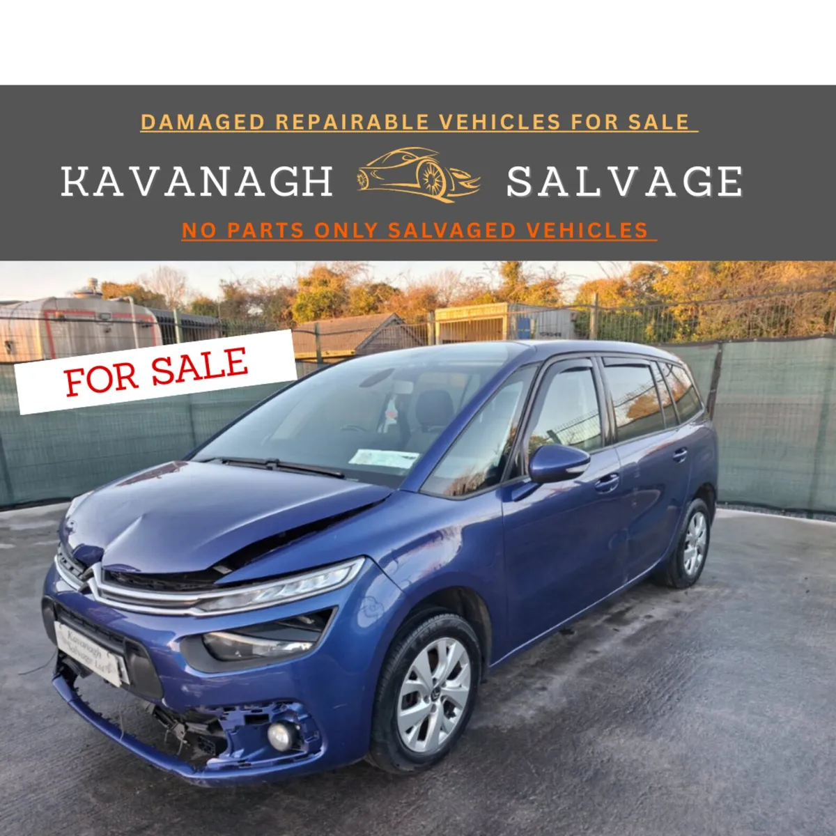 172 Citroën C4 Grand Picasso  7 seater - Image 1