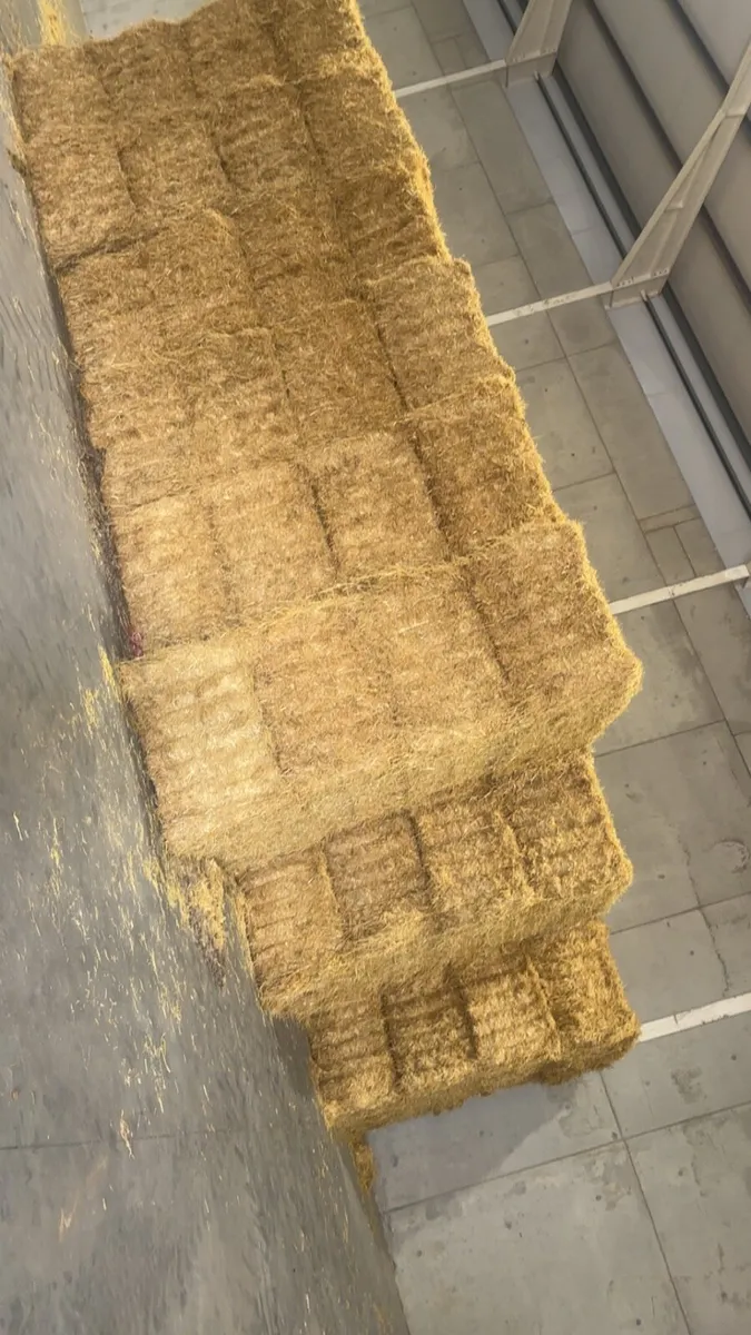 Straw - Image 1