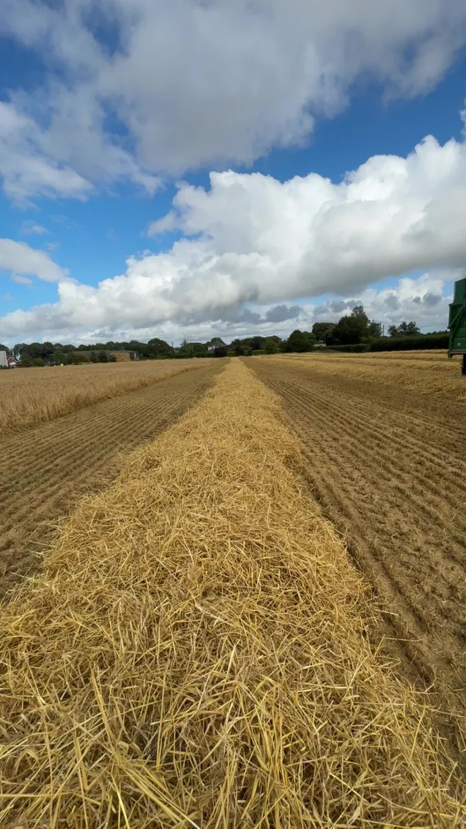 Straw - Image 3