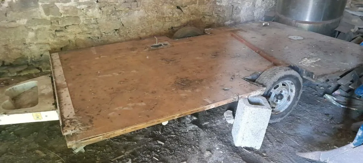 Trailer  flatbody   wite breaks - Image 2