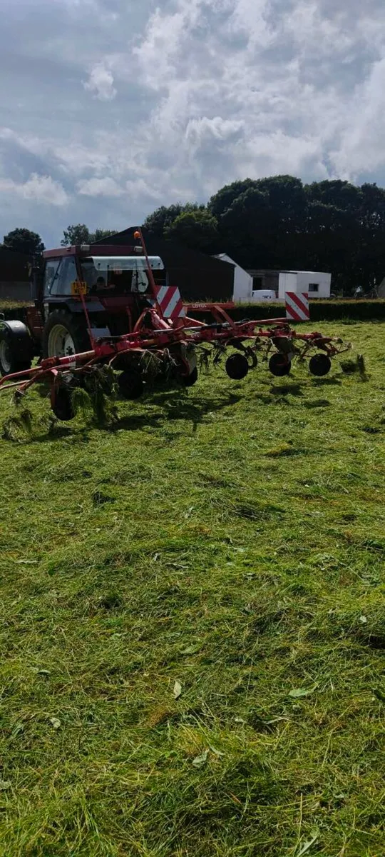 Lely 6 rotor tedder - Image 2